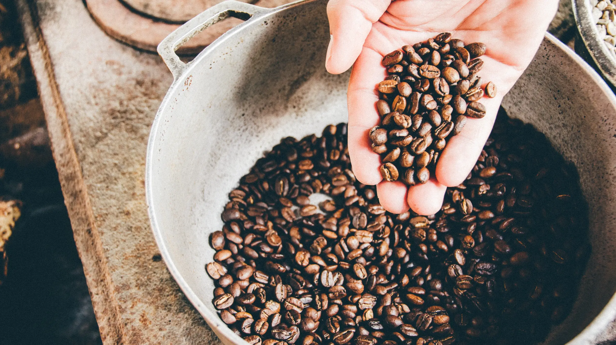 arabica koffie verschil
