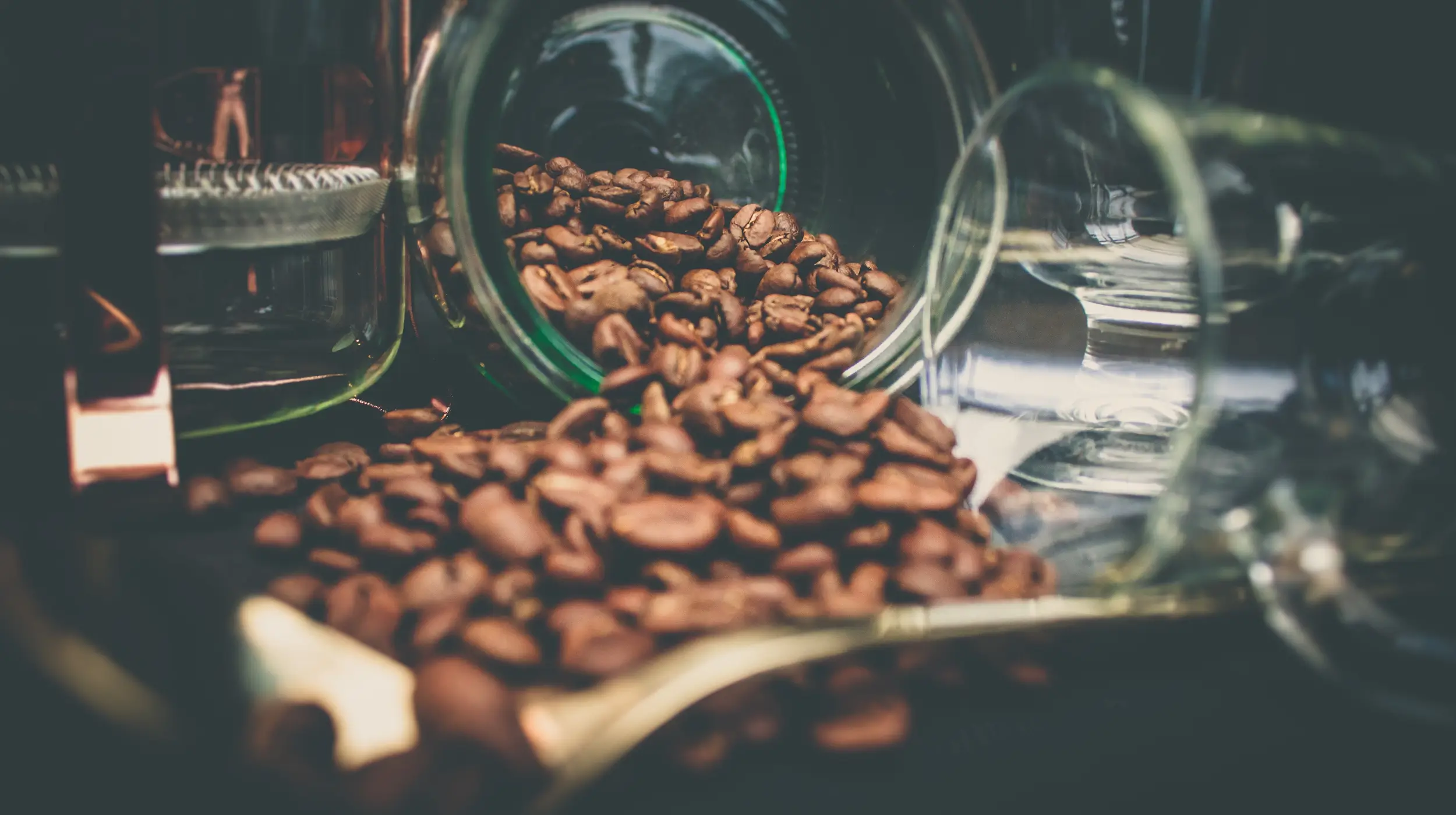 koffiebonen bewaren invriezen of koelkast